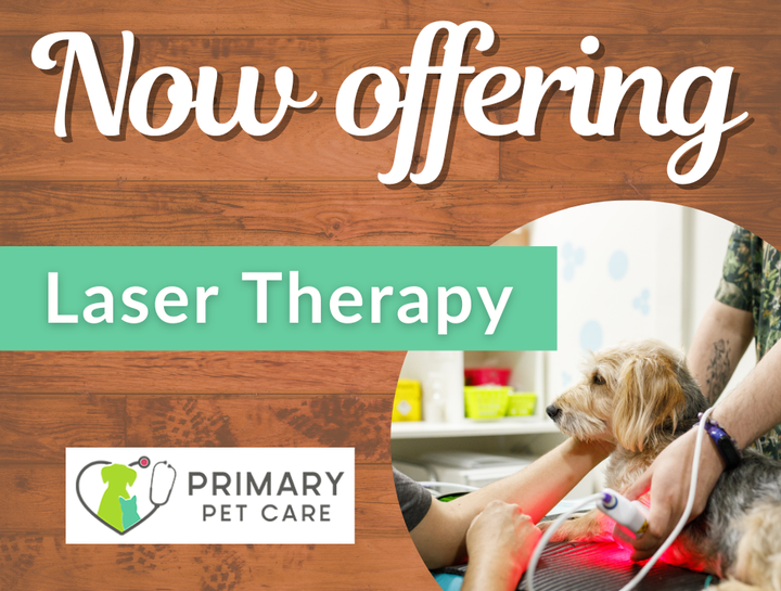Now Offering Laser Therapy