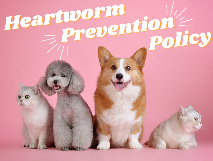 Heartworm Prevention Policy